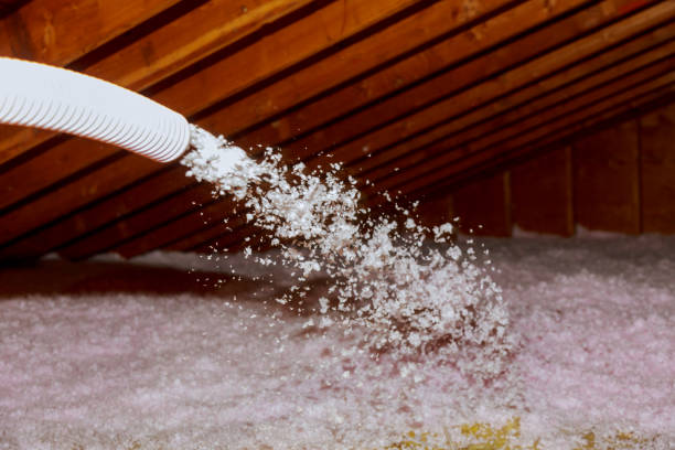 Best Insulation Inspection Services  in Mahanoy City, PA