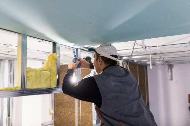 Best Insulation Contractors for Homes  in Mahanoy City, PA