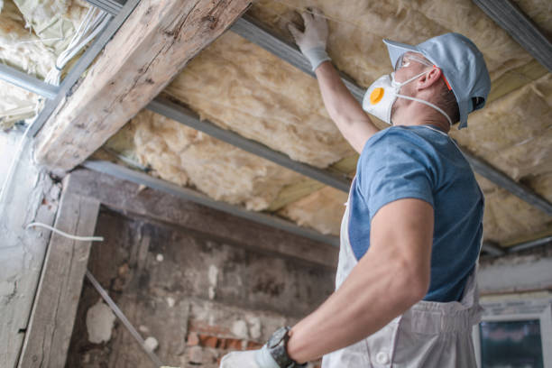 Best Spray Foam Insulation  in Mahanoy City, PA