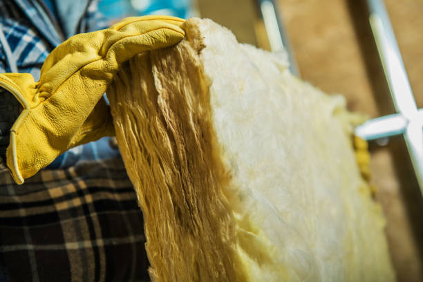 Best Insulation Repair Services  in Mahanoy City, PA
